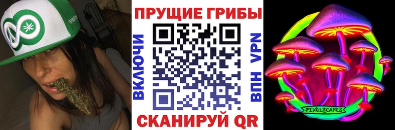 Галлюциногенные грибы мицелий  наркошоп  Камышин 