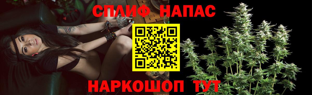 ЭКСТАЗИ Камышин